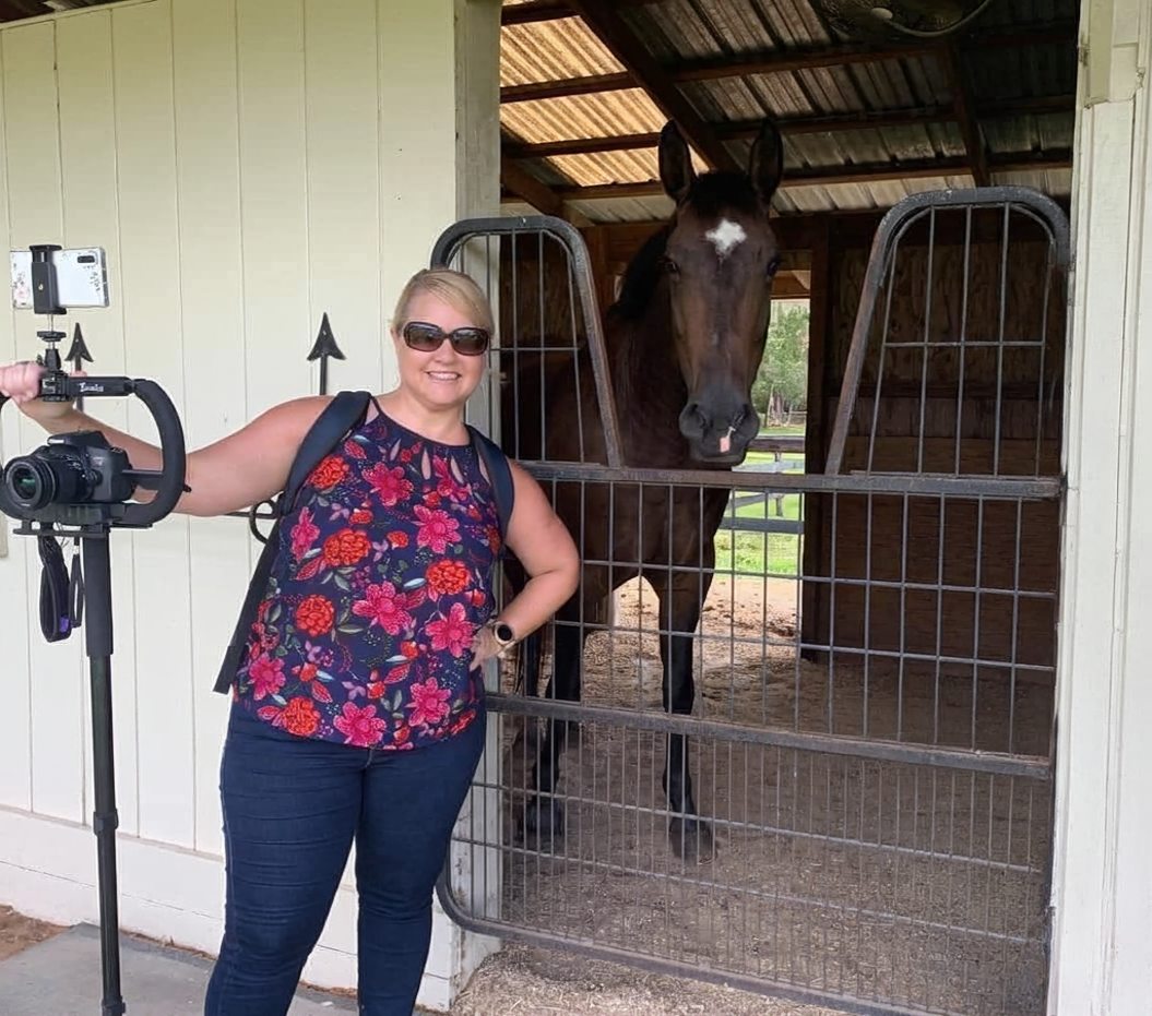 envato-labs-image-edit equestrian real estate videos